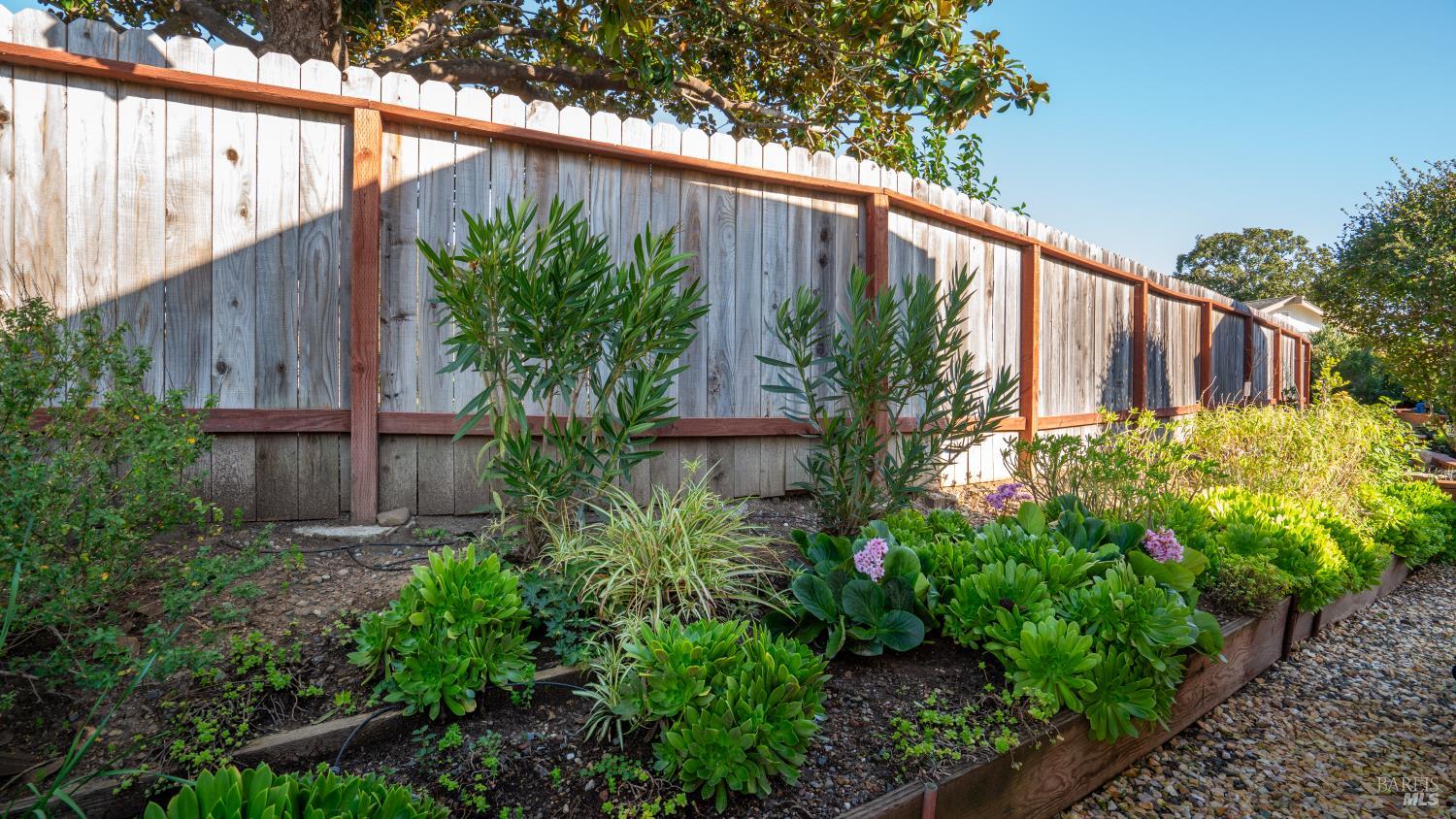 114 Redwing Drive Santa Rosa, CA 95409 - Photo 3 of 21