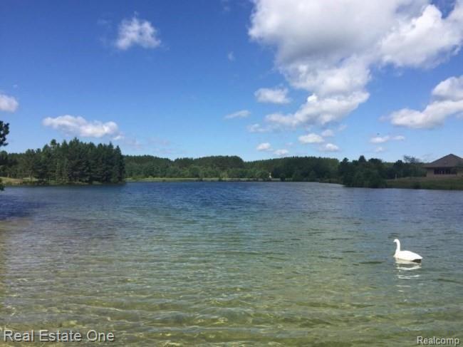 0 Teton Ridge Road Gaylord, MI 49735 - Photo 16 of 25 Gallery Image 16