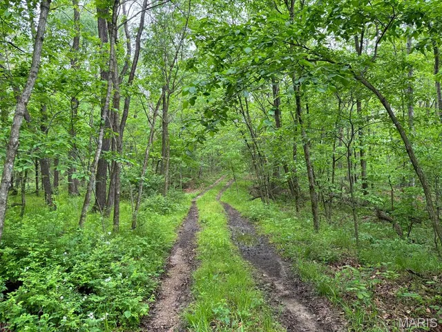 $150,000 | 13 Monroe Road 652, Santa Fe, MO 65282