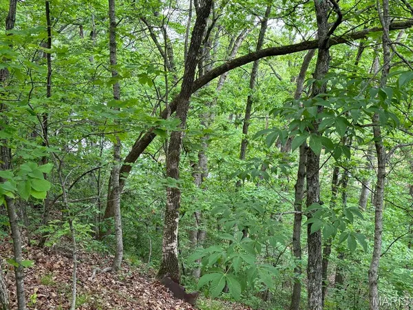 $150,000 | 13 Monroe Road 652, Santa Fe, MO 65282