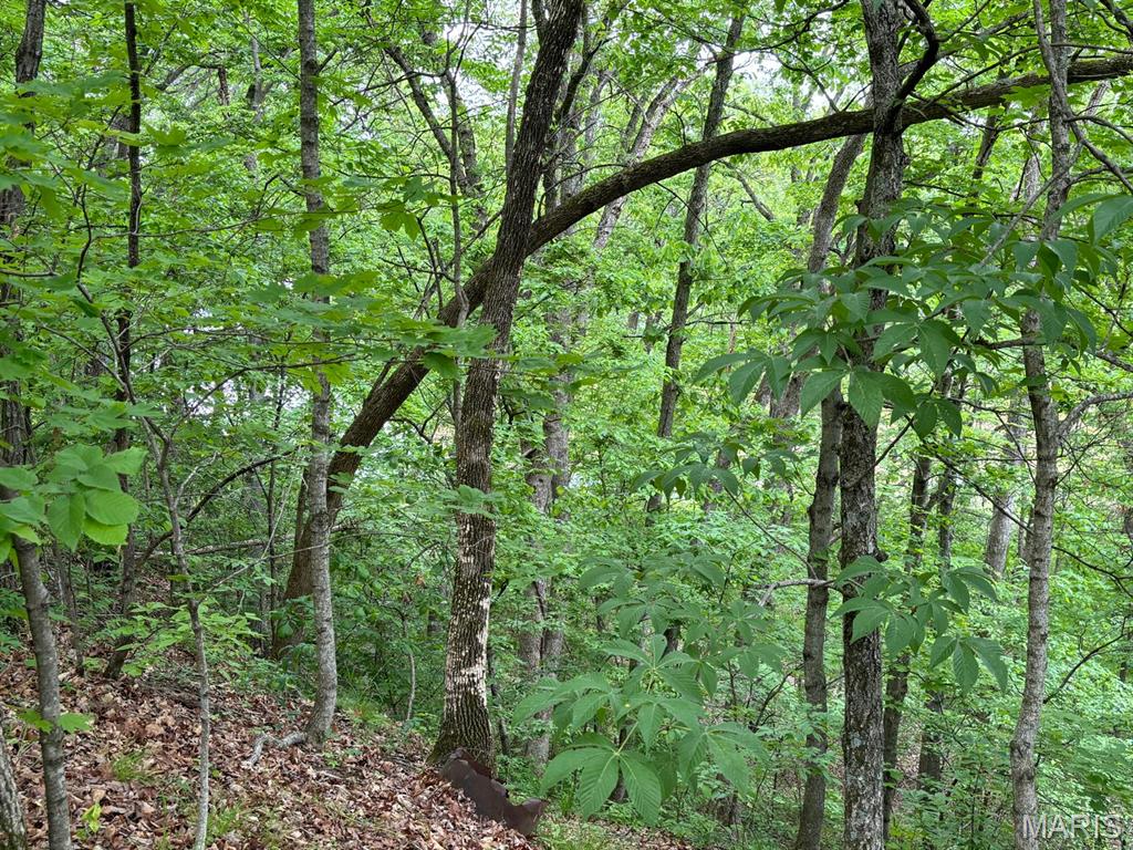 13 Monroe Road 652 Santa Fe, MO 65282 - Photo 3 of 6