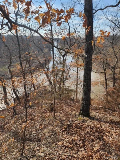 13 Monroe Road 652 Santa Fe, MO 65282 - Photo 4 of 6