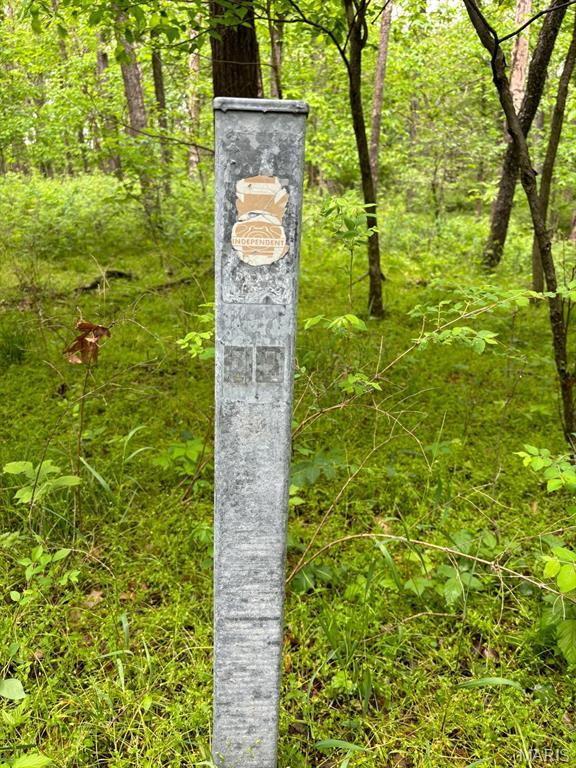 13 Monroe Road 652 Santa Fe, MO 65282 - Photo 6 of 6