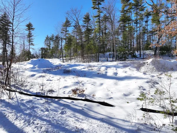 a view of a yard with snow on the road