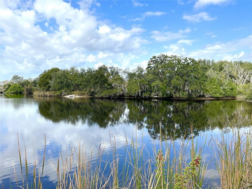0 Berry Hill Road Holiday, FL 34690 - Photo 30 of 43