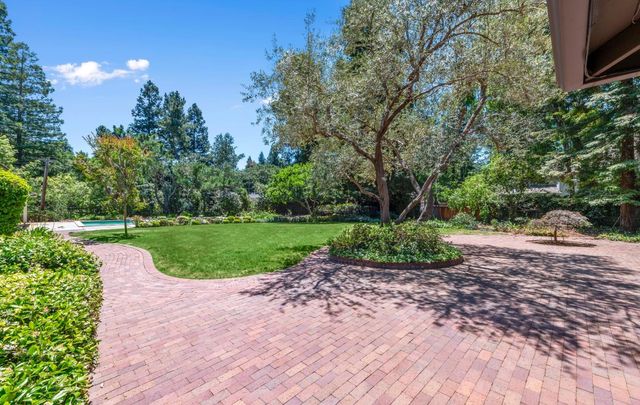 a view of a garden with large trees