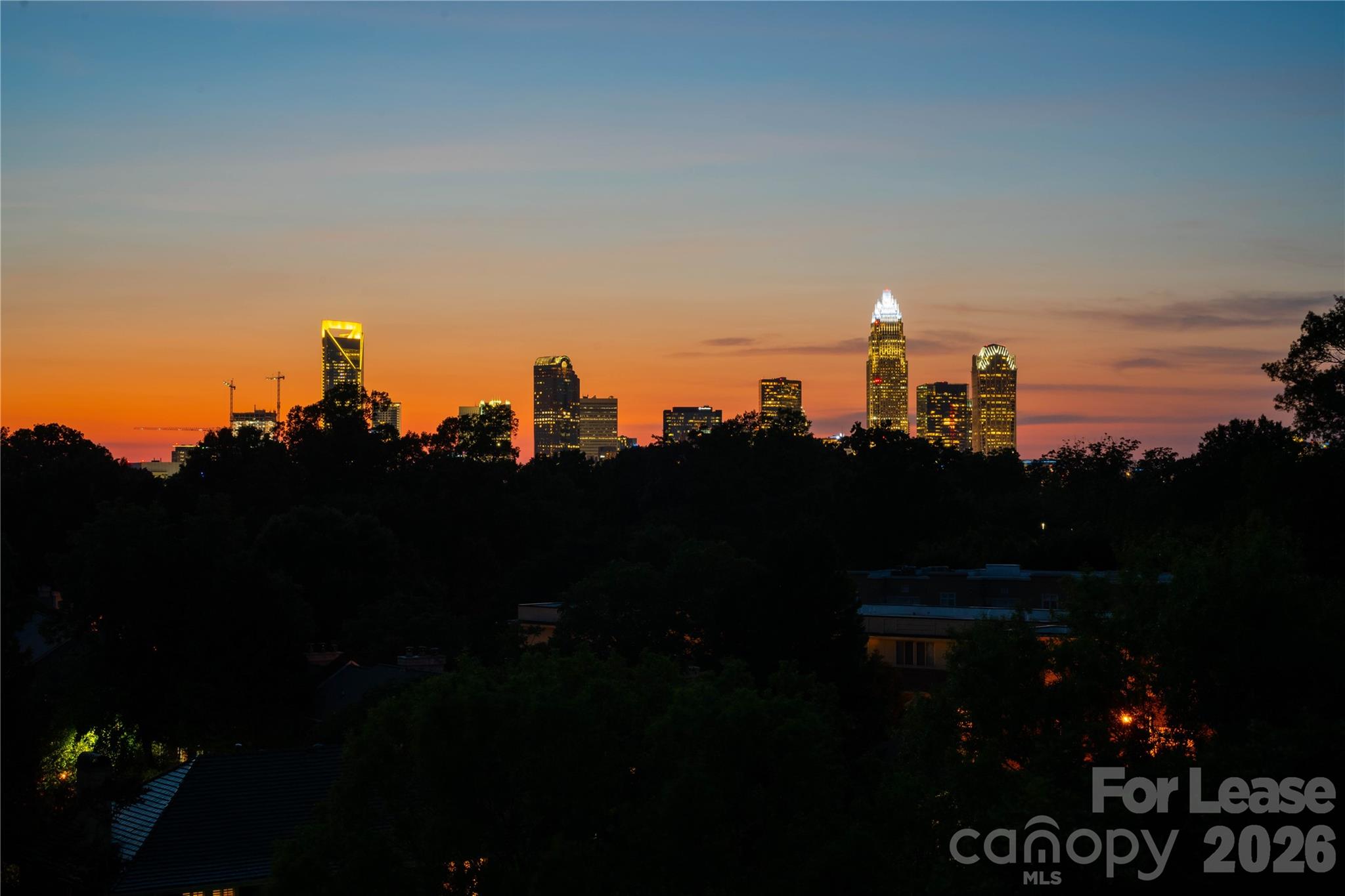 511 Queens Road, Unit 2401 Charlotte, NC 28207 - Photo 21 of 21