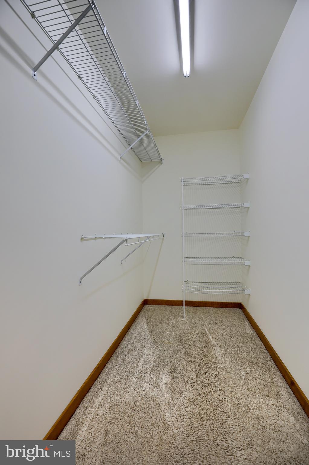 14 Bentley Lane Lititz, PA 17543 - Photo 6 of 47 Owner's Suite Walk-in Closet