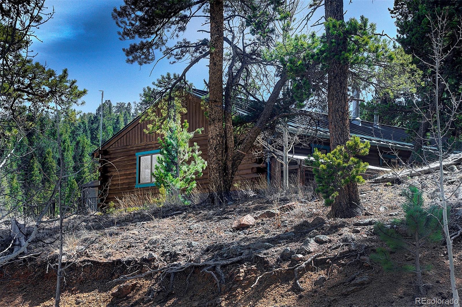1536 Clark Road Bailey, CO 80421 - Photo 2 of 33 a backyard of a house with lots of green space
