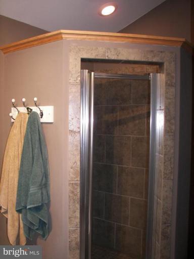 738 Cockeys Mill Road Reisterstown, MD 21136 - Photo 10 of 29 Tiled Shower w/ Vaulted ceiling