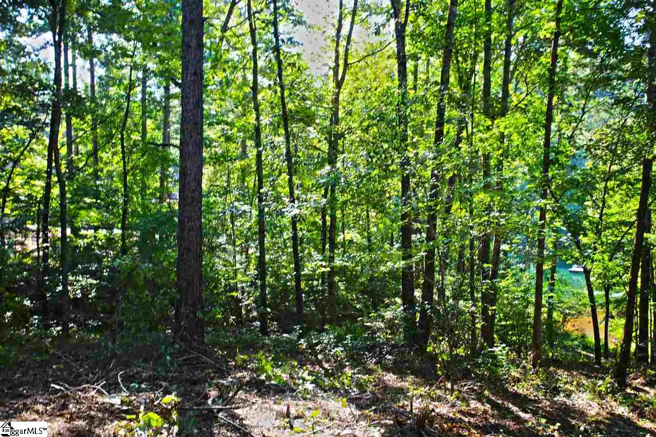 707 Timberbrook Trail Salem, SC 29676 - Photo 14 of 36 Gallery Image 14
