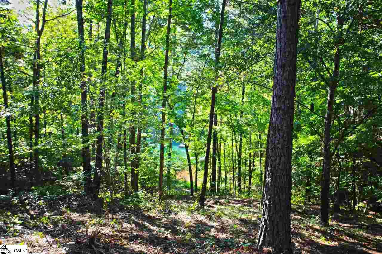 707 Timberbrook Trail Salem, SC 29676 - Photo 15 of 36 Gallery Image 15