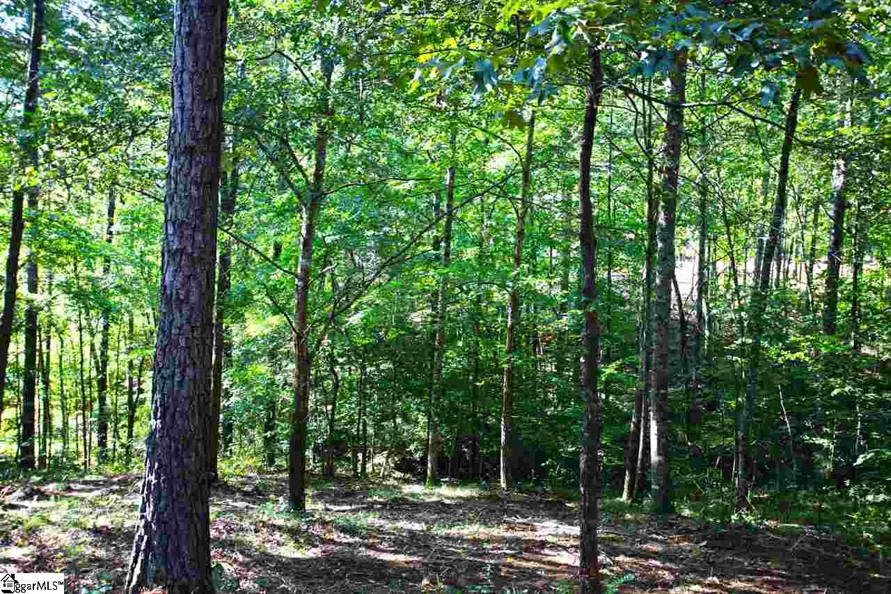 707 Timberbrook Trail Salem, SC 29676 - Photo 16 of 36 Gallery Image 16