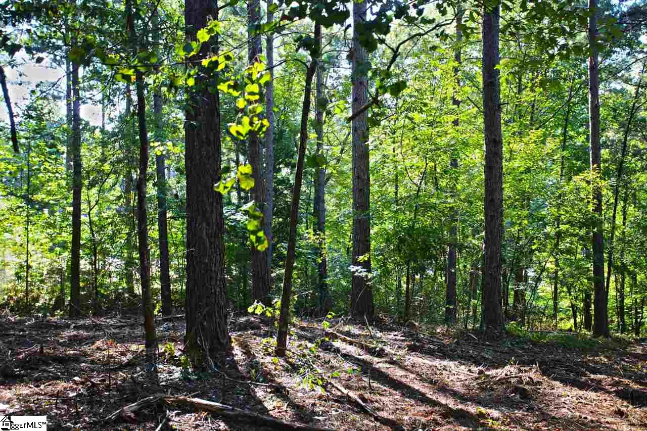 707 Timberbrook Trail Salem, SC 29676 - Photo 17 of 36 Gallery Image 17