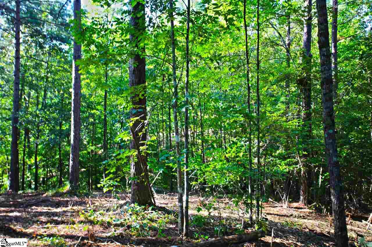 707 Timberbrook Trail Salem, SC 29676 - Photo 18 of 36 Gallery Image 18