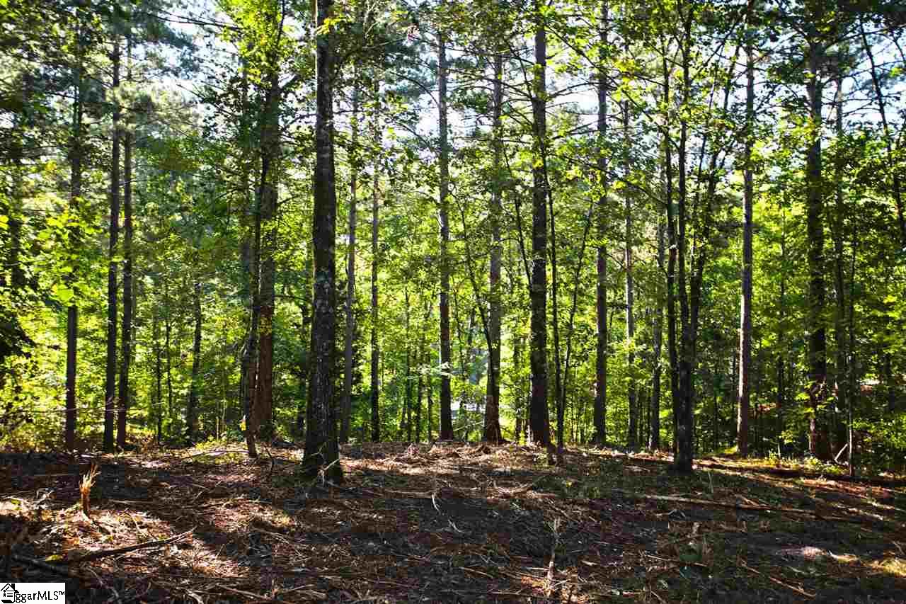 707 Timberbrook Trail Salem, SC 29676 - Photo 20 of 36 Gallery Image 20