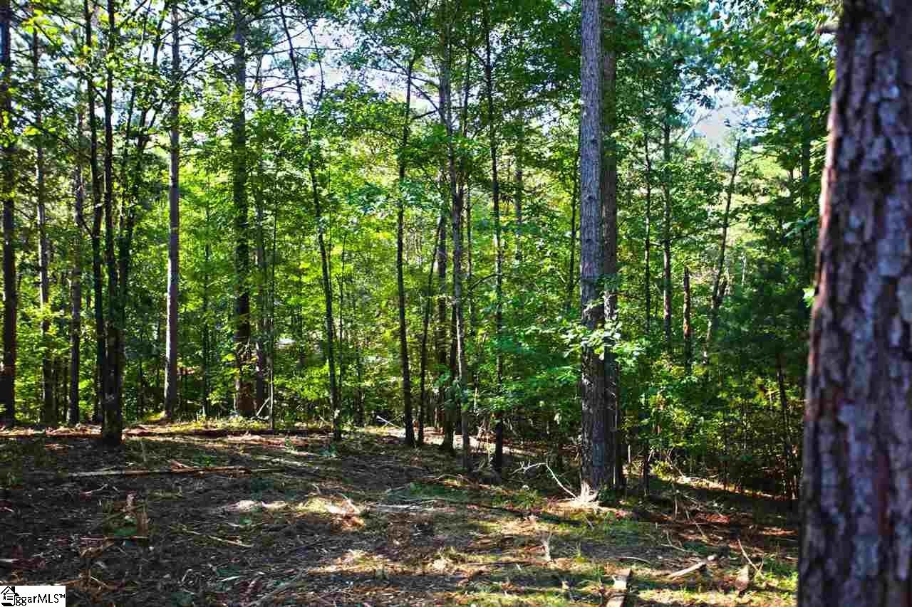 707 Timberbrook Trail Salem, SC 29676 - Photo 21 of 36 Gallery Image 21
