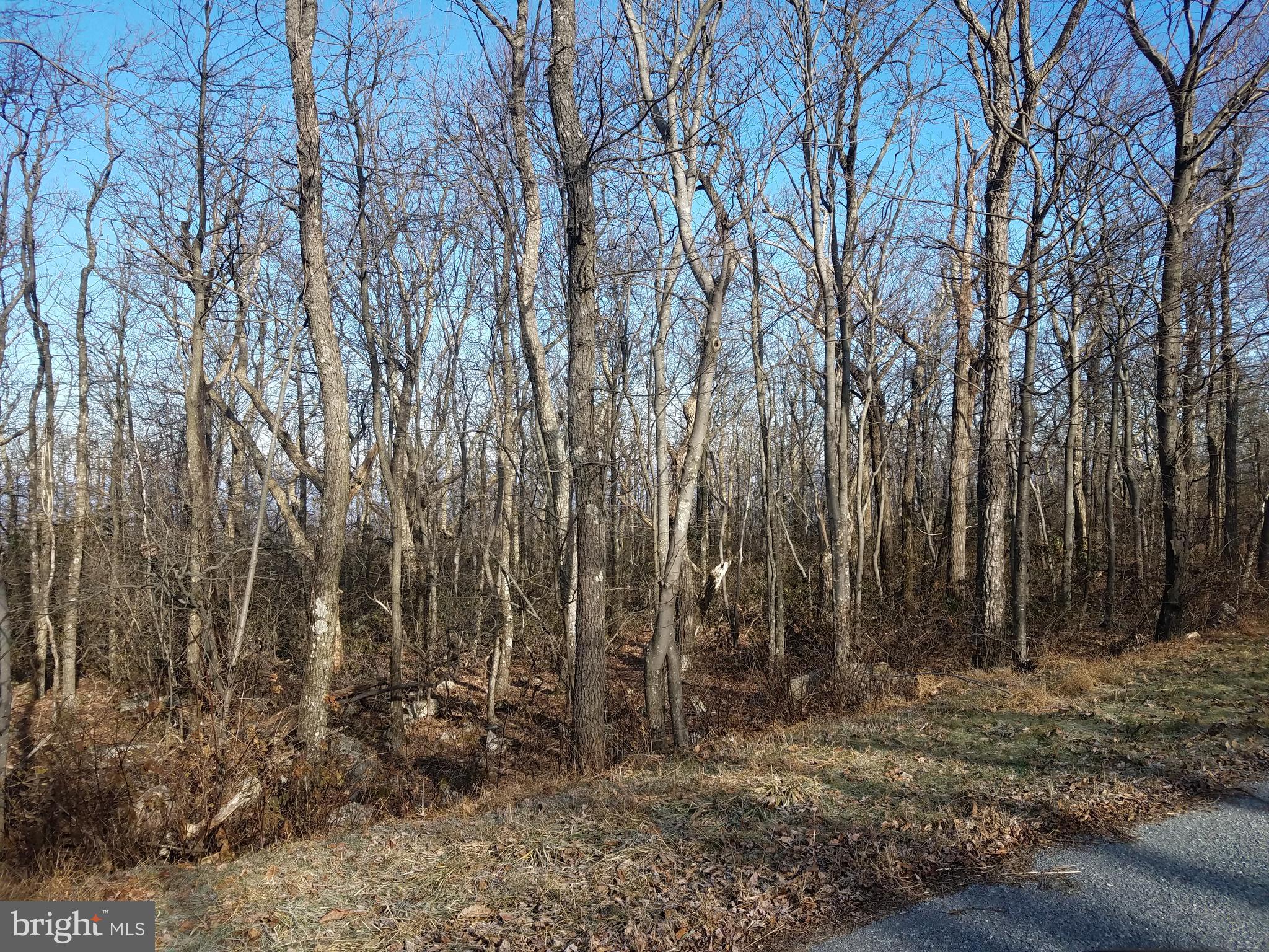 Lot 31 Timber Ridge Trail Winchester, VA 22602 - Photo 1 of 3 Wooded lot with hardwoods
