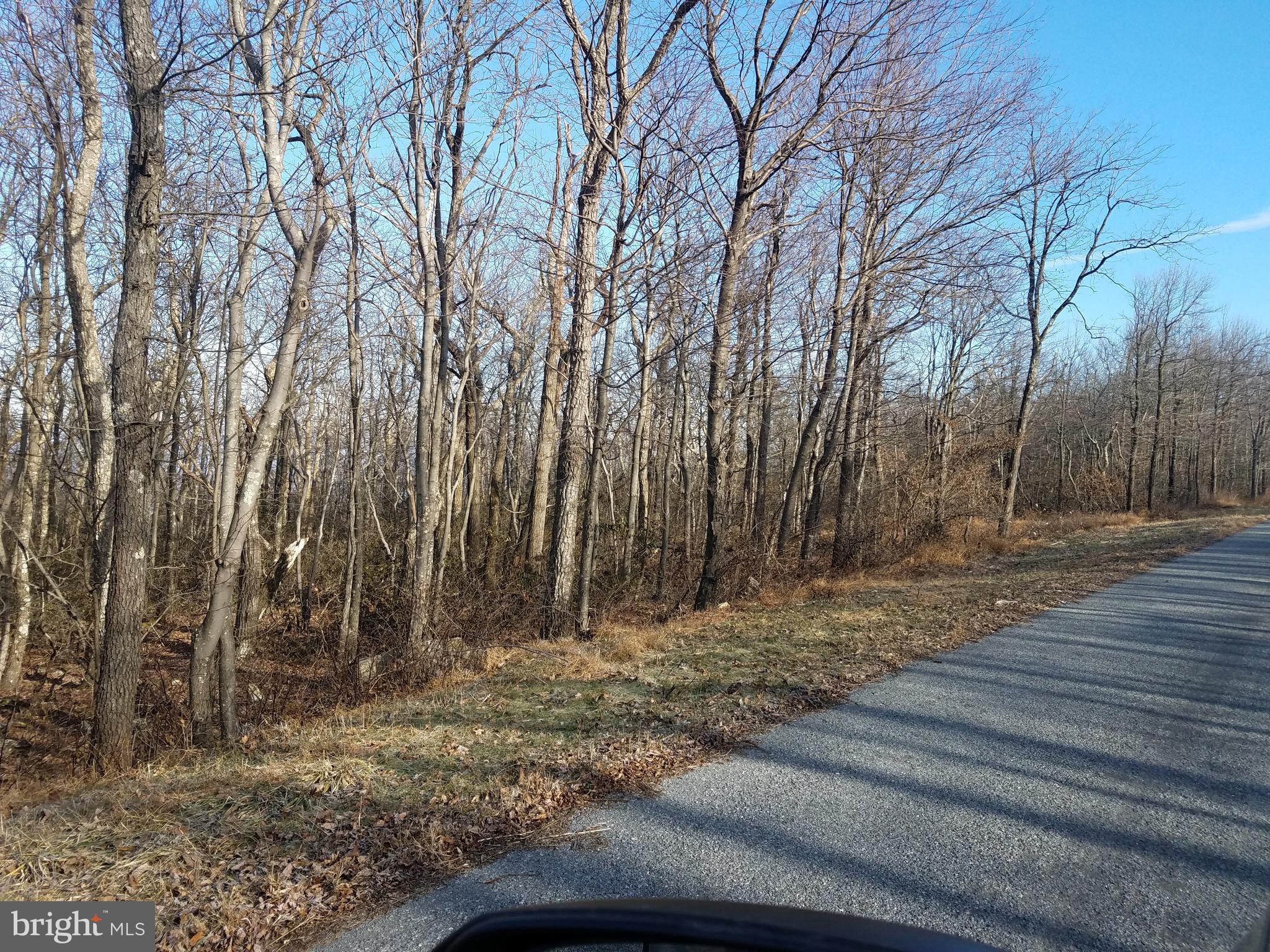 Lot 31 Timber Ridge Trail Winchester, VA 22602 - Photo 2 of 3 Frontage on paved road