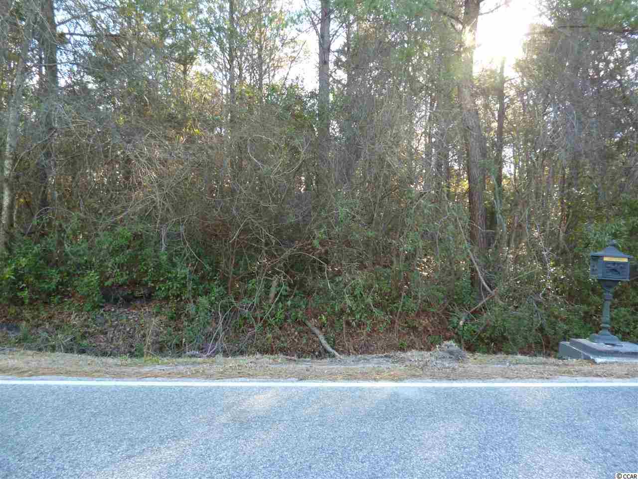 Tbd Tbd Bellaire Road Conway, SC 29526 - Photo 1 of 3 Gallery Image 1