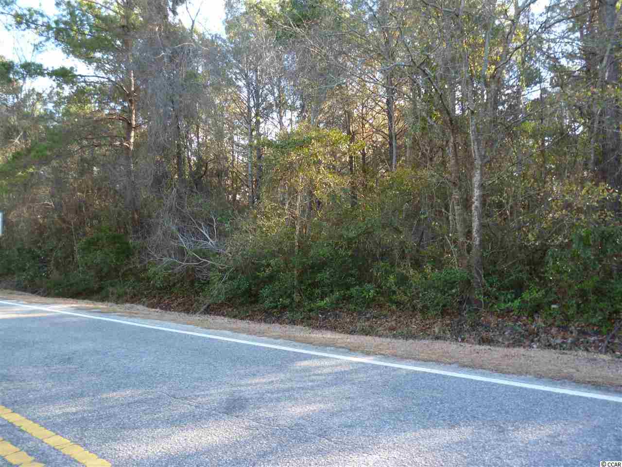 Tbd Tbd Bellaire Road Conway, SC 29526 - Photo 2 of 3 Gallery Image 2