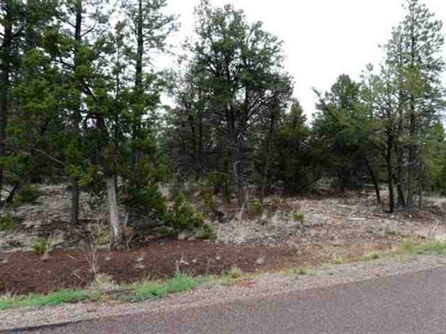 118 Summer Place Overgaard, AZ 85933 - Photo 1 of 3