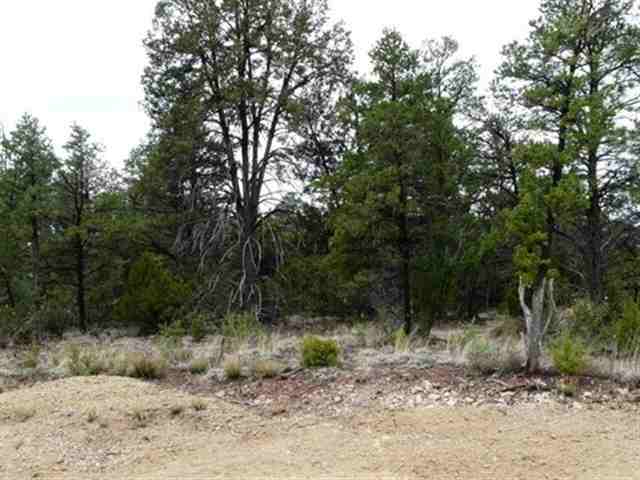 118 Summer Place Overgaard, AZ 85933 - Photo 2 of 3