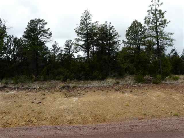 118 Summer Place Overgaard, AZ 85933 - Photo 3 of 3