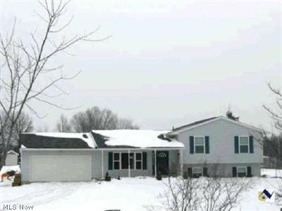 42750 Russia Road Elyria, OH 44035 - Photo 1 of 1 Gallery Image 1