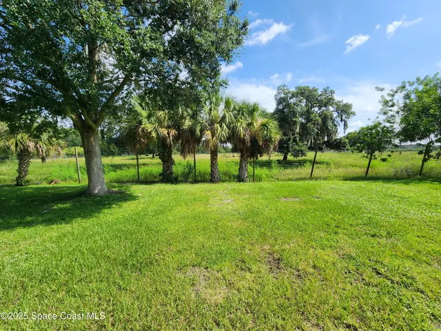 a view of grassy field with trees