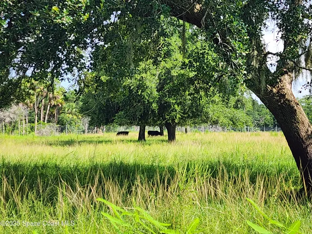 a picture of a rug with a white wall