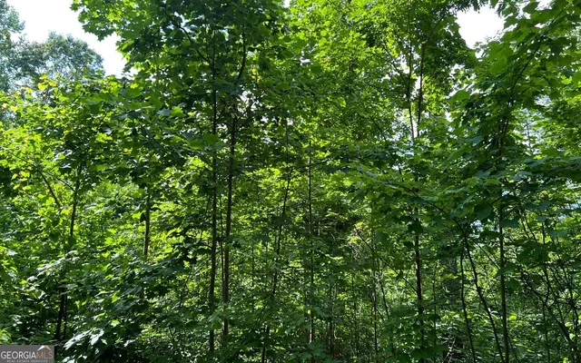 $90,000 | Lot 73 Eagles View, Hayesville, NC 28904
