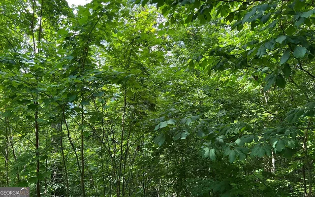 $90,000 | Lot 73 Eagles View, Hayesville, NC 28904