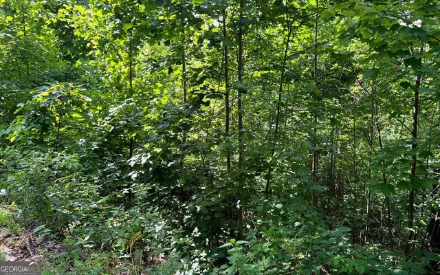 $90,000 | Lot 73 Eagles View, Hayesville, NC 28904