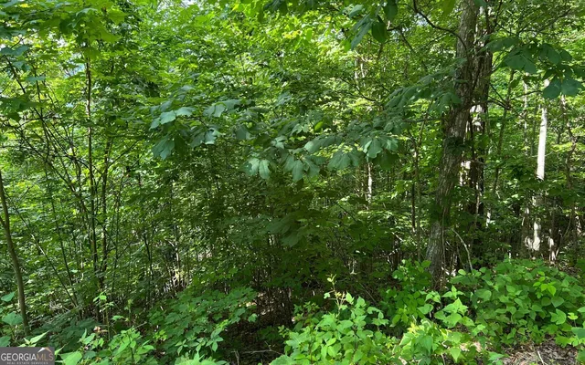 $90,000 | Lot 73 Eagles View, Hayesville, NC 28904