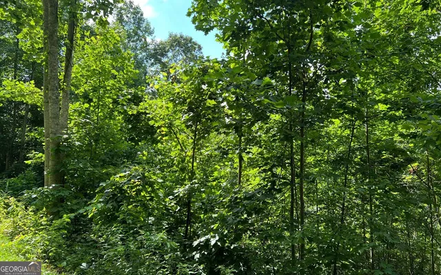 $90,000 | Lot 73 Eagles View, Hayesville, NC 28904