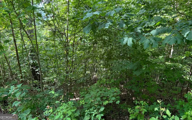 $90,000 | Lot 73 Eagles View, Hayesville, NC 28904