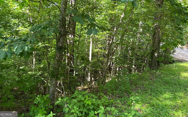 $90,000 | Lot 73 Eagles View, Hayesville, NC 28904