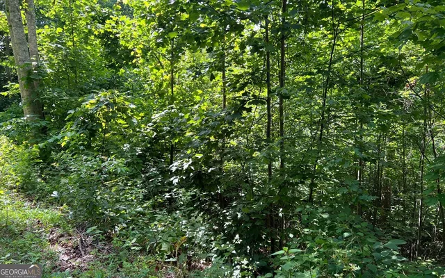 $90,000 | Lot 73 Eagles View, Hayesville, NC 28904