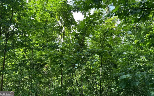 $90,000 | Lot 73 Eagles View, Hayesville, NC 28904