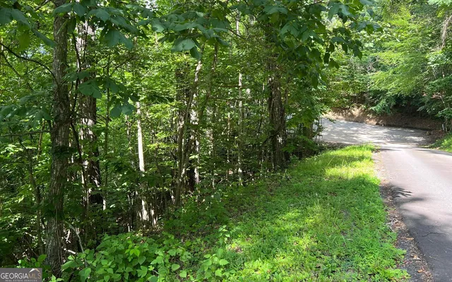 $90,000 | Lot 73 Eagles View, Hayesville, NC 28904