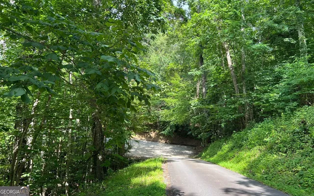 $90,000 | Lot 73 Eagles View, Hayesville, NC 28904