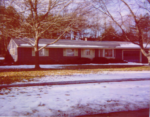 a view of a house with a yard covered with snow and trees