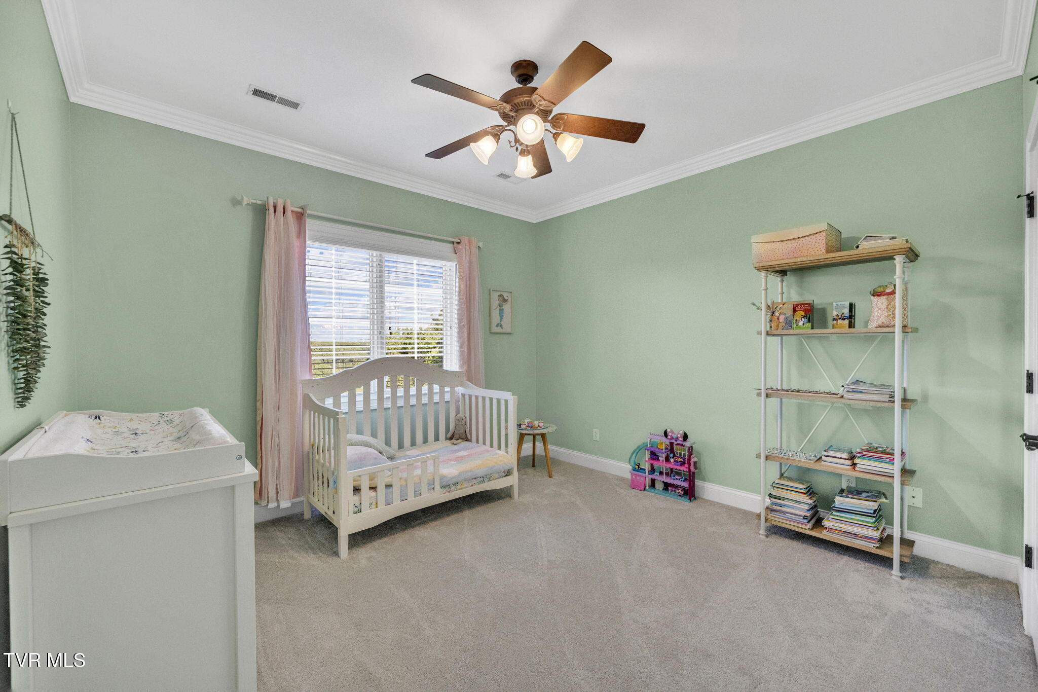 301 Sunset Ridge Court Johnson City, TN 37615 - Photo 41 of 80 72-web-or-mls-DSC02955