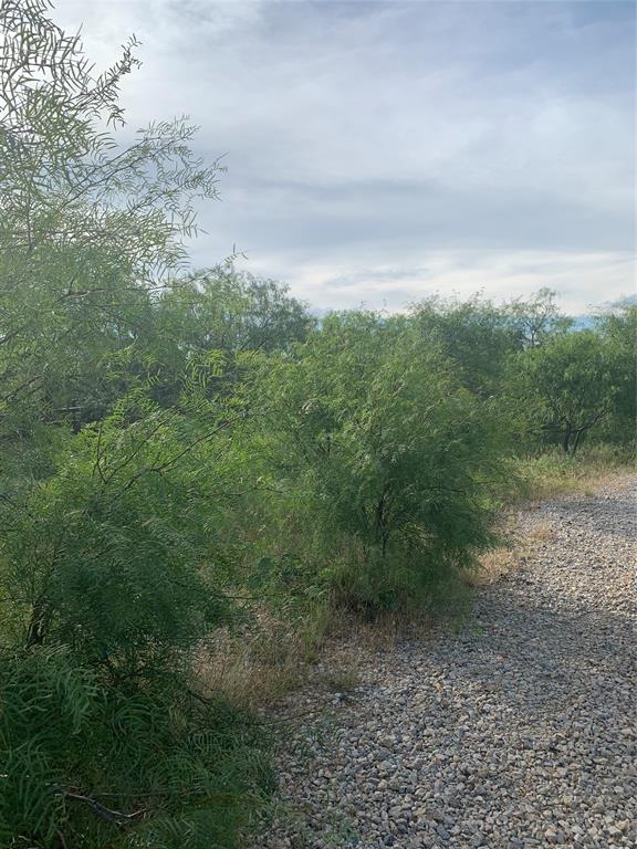 31.09-ac Hoefle Road Jacksboro, TX 76458 - Photo 33 of 33 a view of a yard with a street