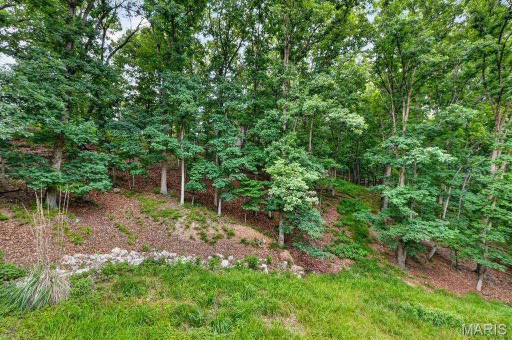 1549 Paradise Valley Drive High Ridge, MO 63049 - Photo 32 of 37
