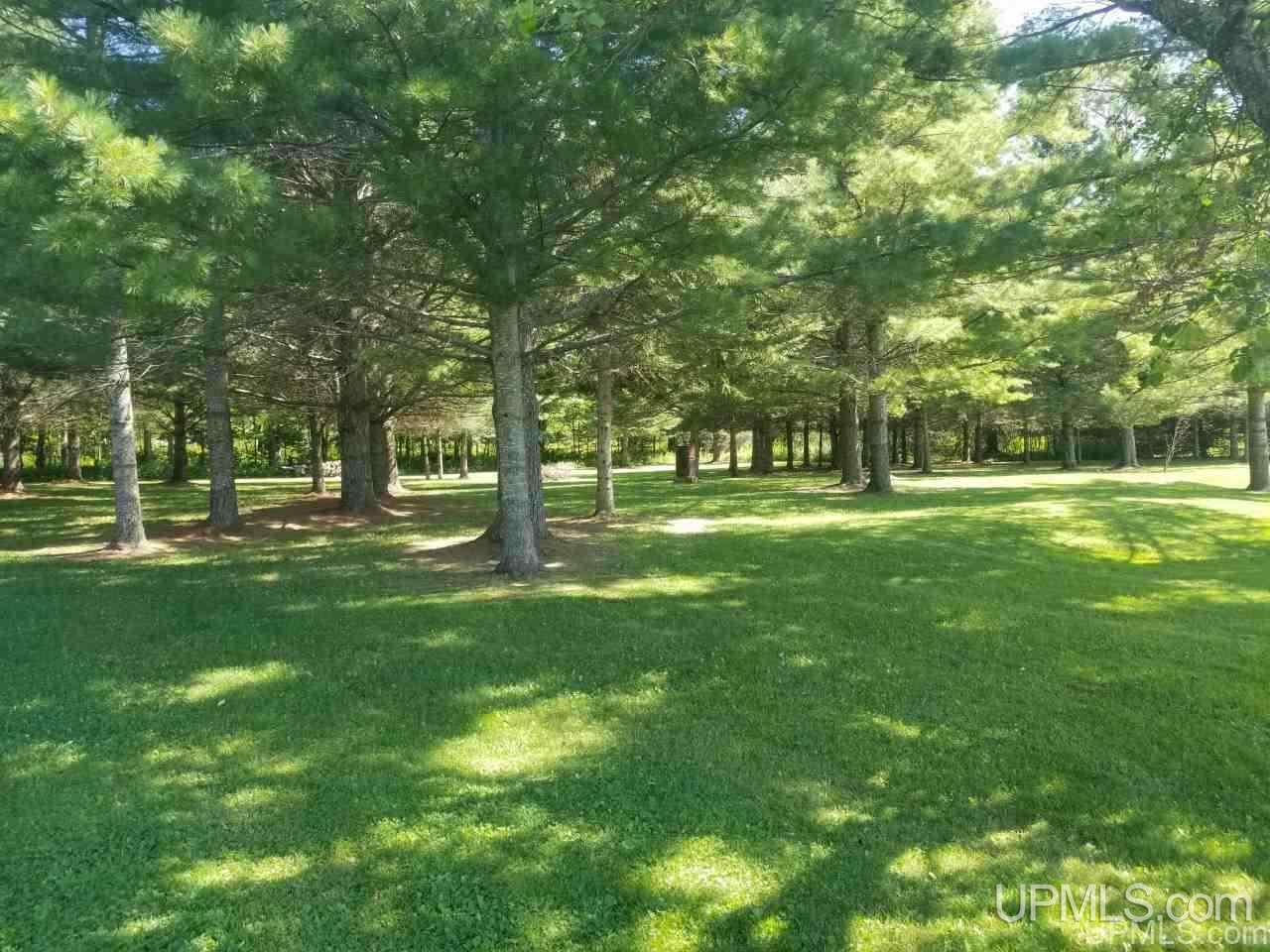 1164 North Co Rd 432 Gulliver, MI 49840 - Photo 22 of 23
