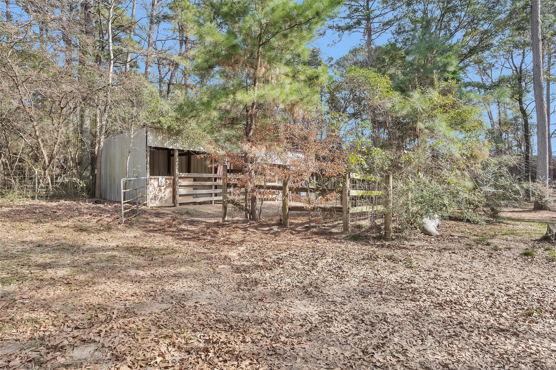 40610 Mill Creek Road Magnolia, TX 77354 - Photo 27 of 31 Horse stalls