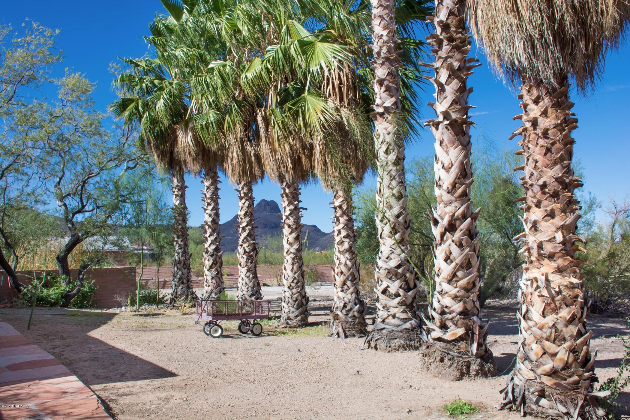 6880 West Ina Road Tucson, AZ 85743 - Photo 43 of 49 Gallery Image 43