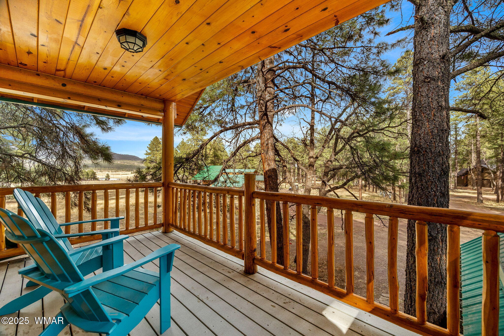 7 County Road Alpine, AZ 85920 - Photo 33 of 44 1N2312-AlpineAZ-33